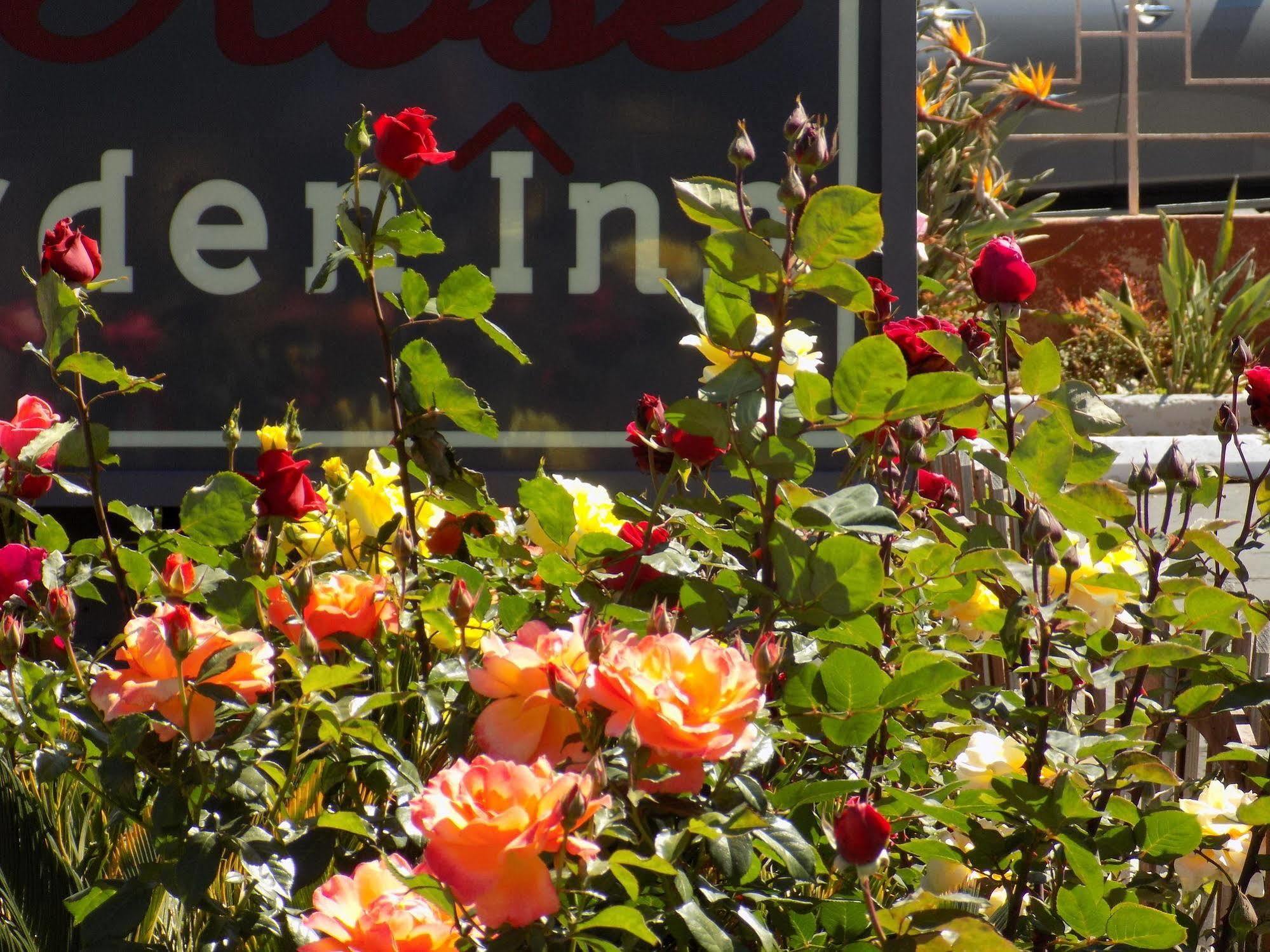Rose Garden Inn Santa Barbara Exteriör bild