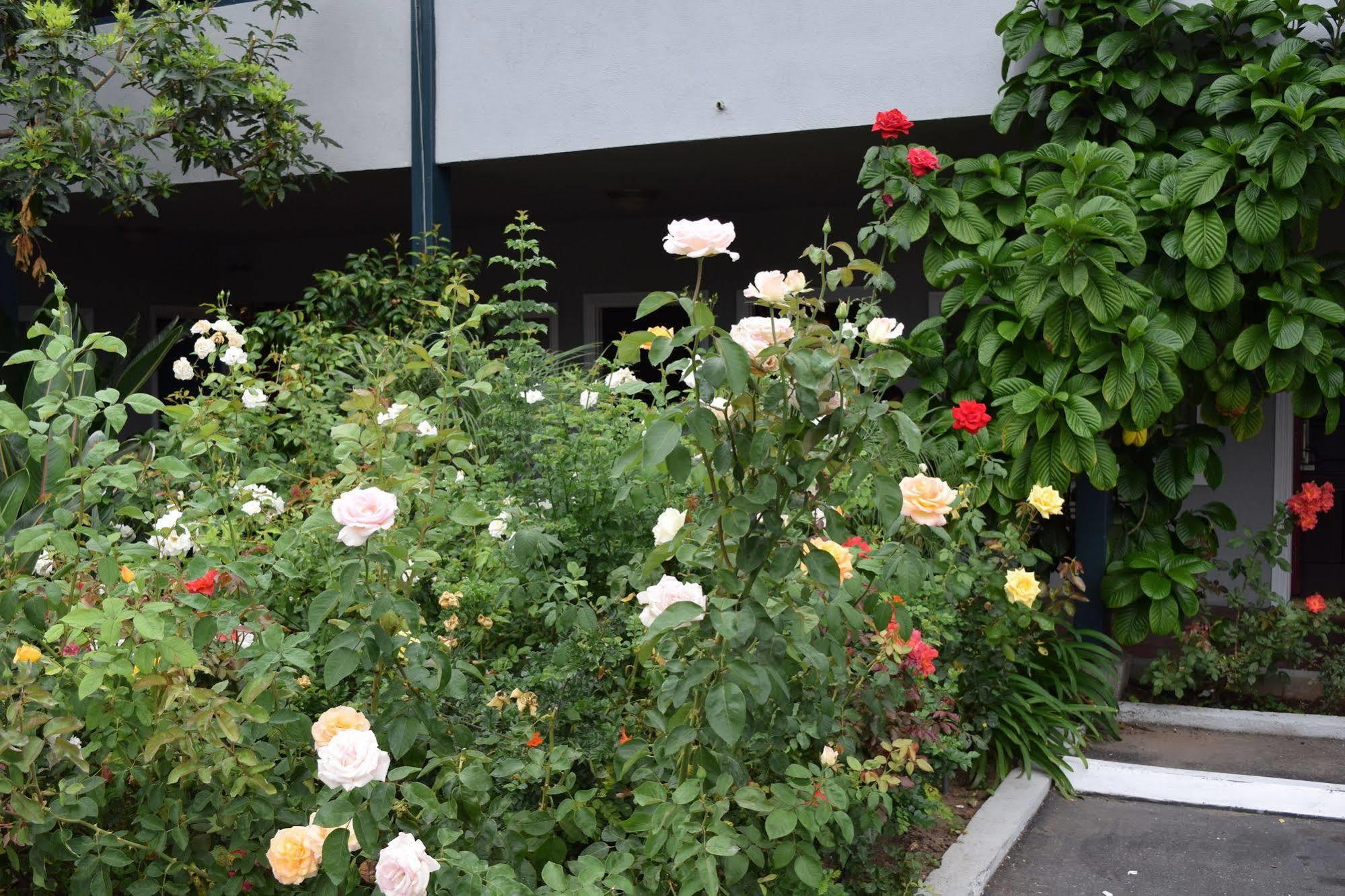 Rose Garden Inn Santa Barbara Exteriör bild